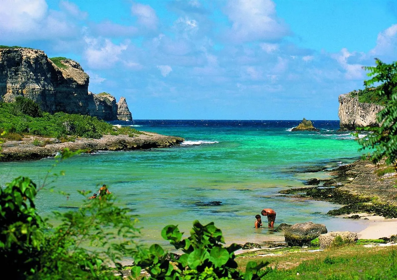 Hotel Residence Le Vallon Guadeloupe Parc Piscine Appartements & Studios & Services Hoteliers A La Carte Saint-Francois